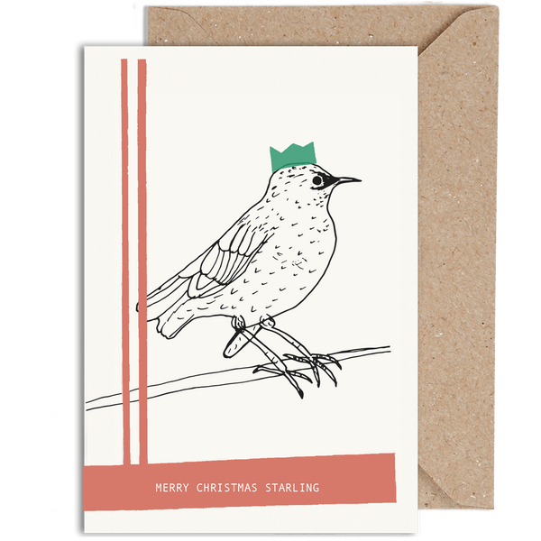 Merry Christmas Starling