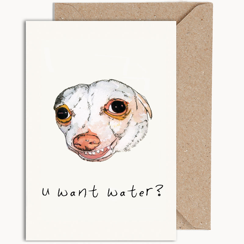 U Want Water?